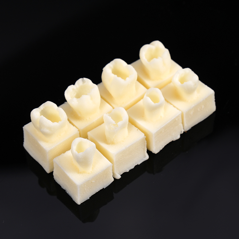 Model Kit Tools - 8pcs/set Dental Resin Filling Teeth Model