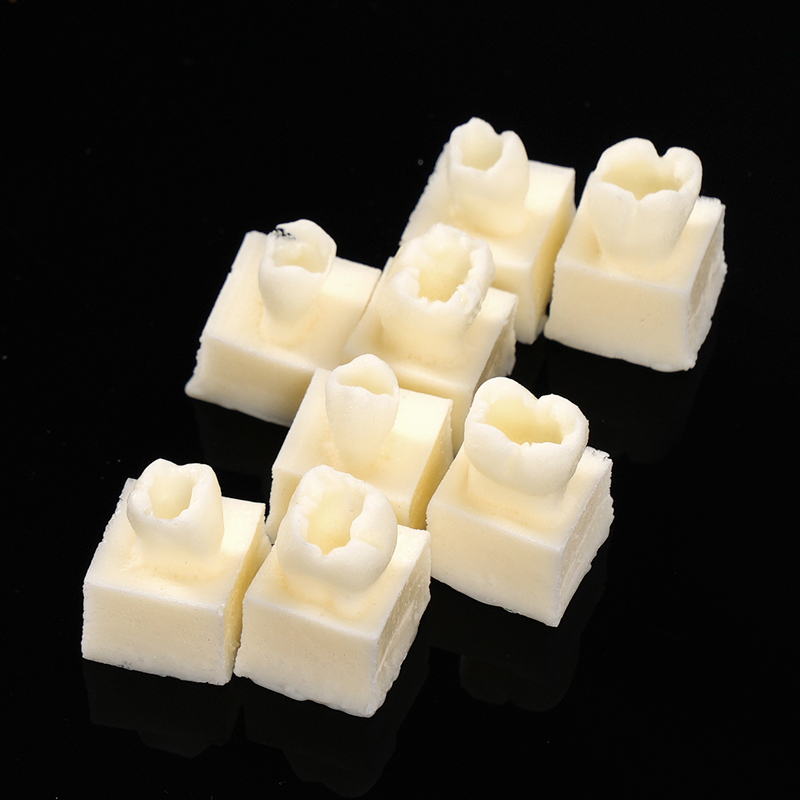 8pcs/set Dental Resin Filling  - Model Kit Tools recension och pris