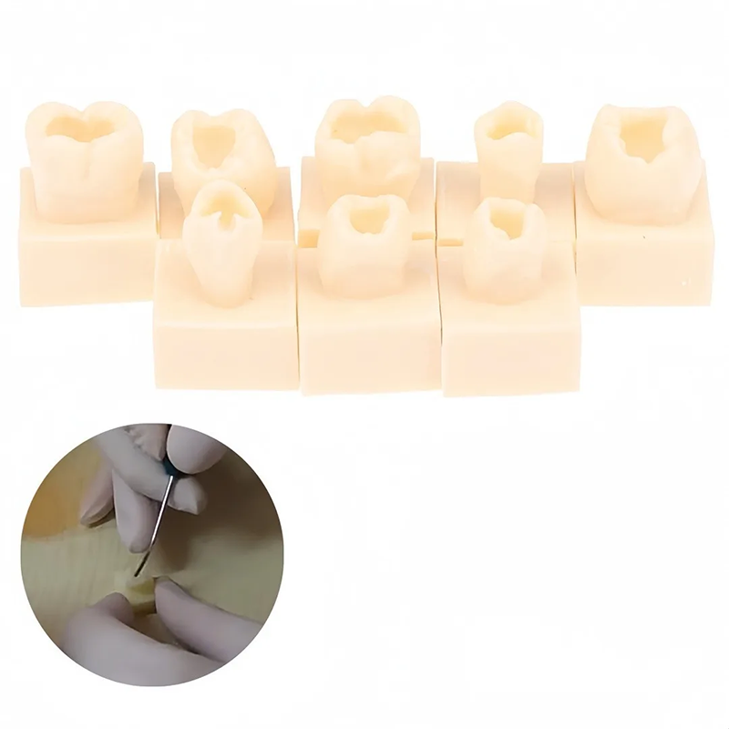 8pcs/set Dental Resin Filling  - Model Kit Tools recension och pris