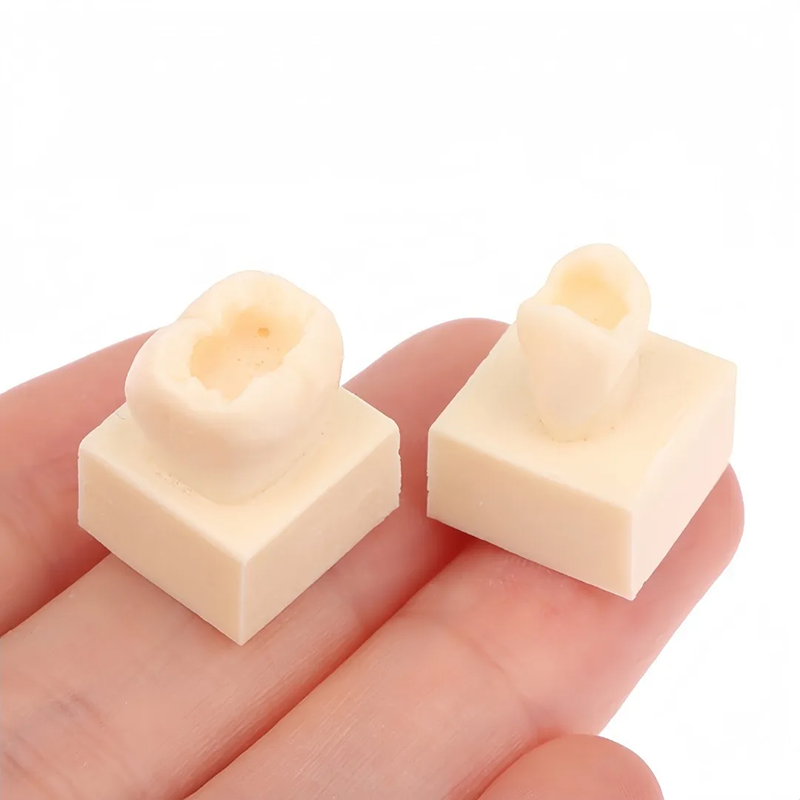 8pcs/set Dental Resin Filling  - Model Kit Tools recension och pris