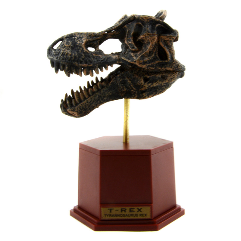 Dinosaur Skeleton Fossil ABS A - Model Kit Dinosaur recension och pris